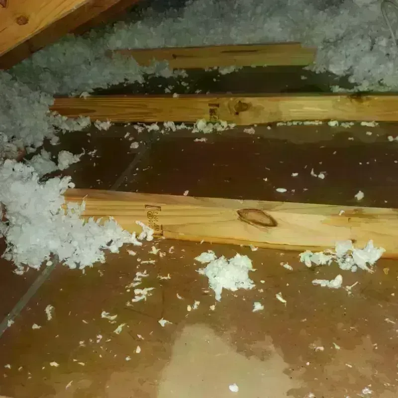 Attic Water Damage in Bolivar Peninsula, TX